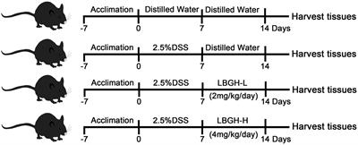 Structural characteristics of locust bean gum hydrolysate and its alleviating effect on dextran sulfate sodium-induced colitis